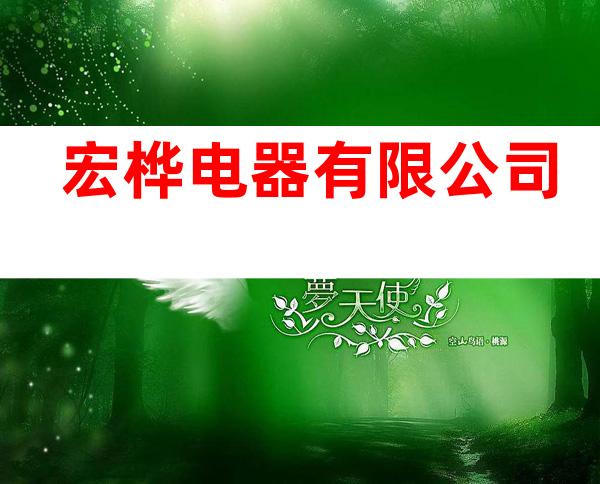 宏桦电器有限公司