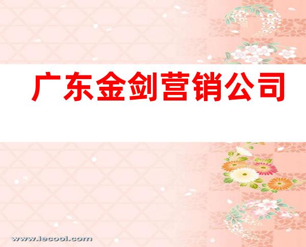 广东金剑营销公司